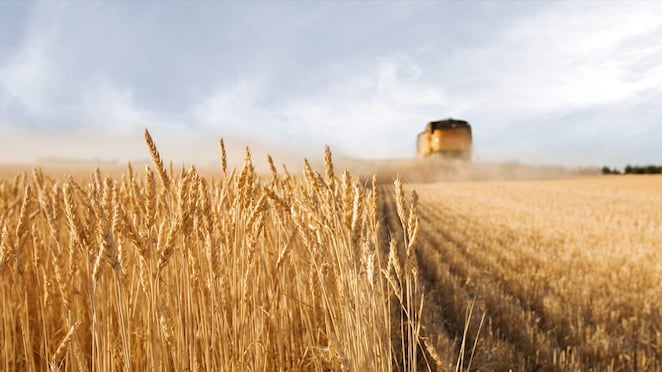 Growing profitability in agriculture