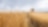 Growing profitability in agriculture