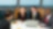 Employees in a meeting