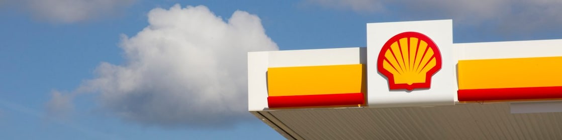 Shell pecten on retail site