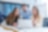 Enterprise IT