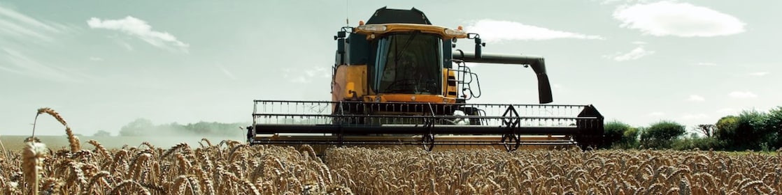 Yellow combine harvester in a wheat field
