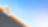 Shell pecten with sky
